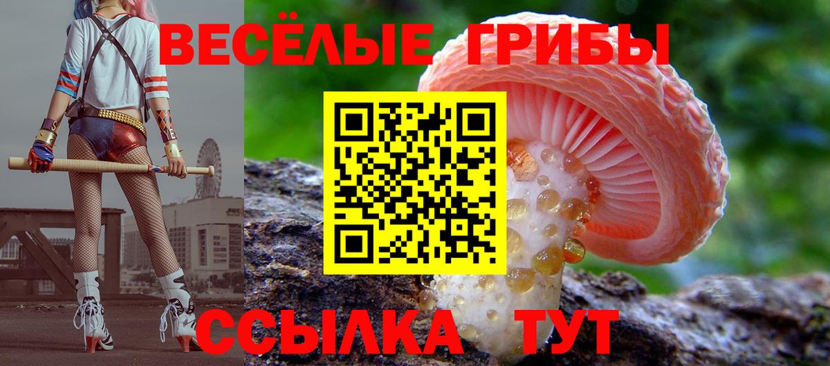 Псилоцибиновые грибы прущие грибы  Галлюциногенные грибы мухоморы  Ноябрьск  Вход с VPN 