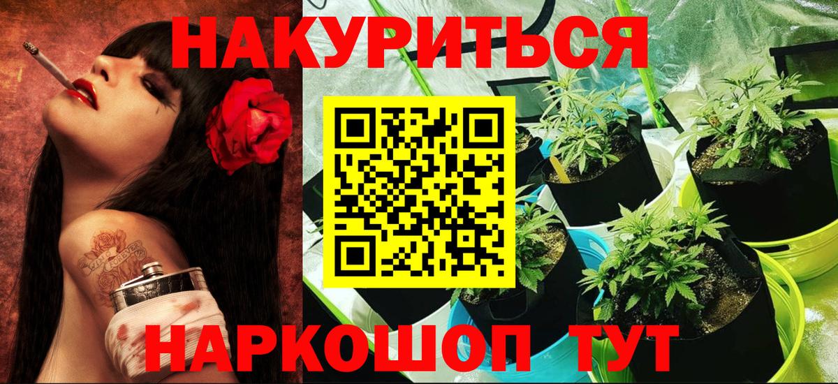 Шишки марихуана семена Ноябрьск
